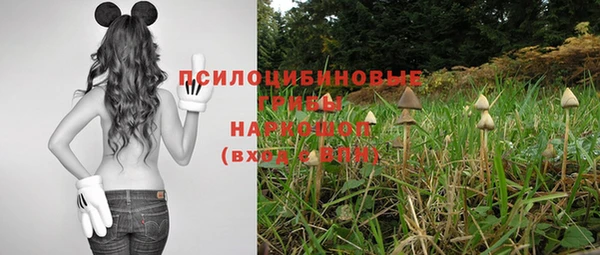 ешки Заволжск