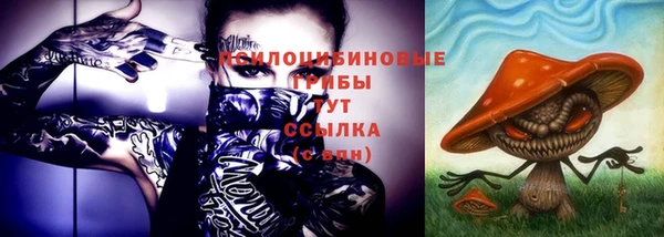 ешки Заволжье